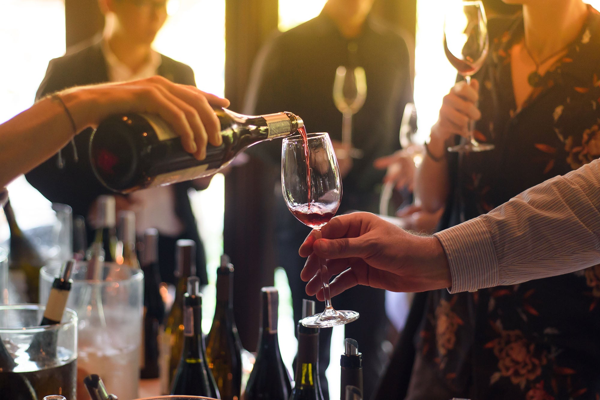 How to Host a Wine Tasting Party [Complete Guide]