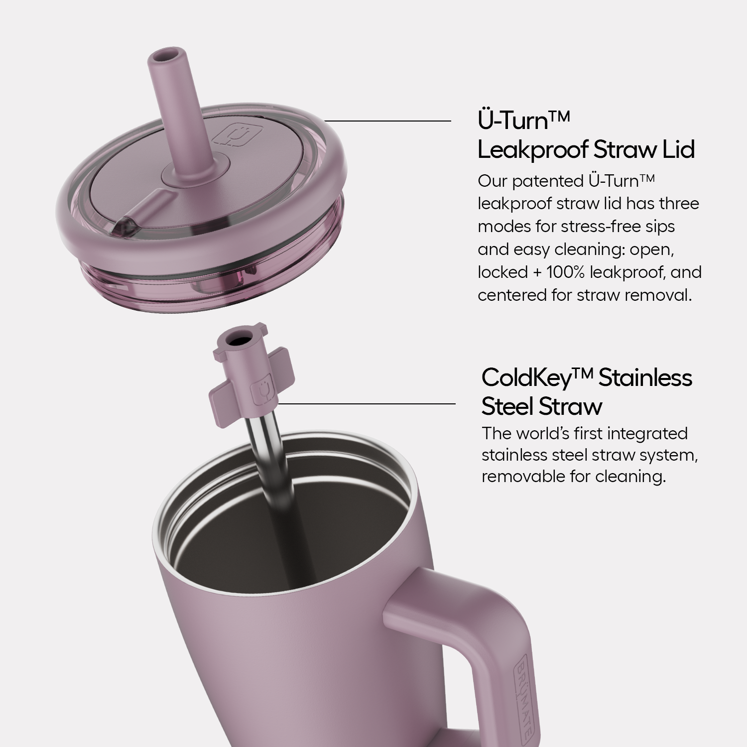 Era 20oz | Leopard Latte