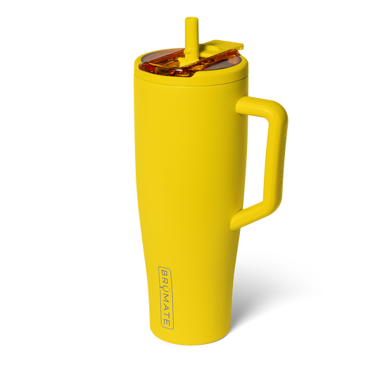 Era Flip 40oz | Pineapple